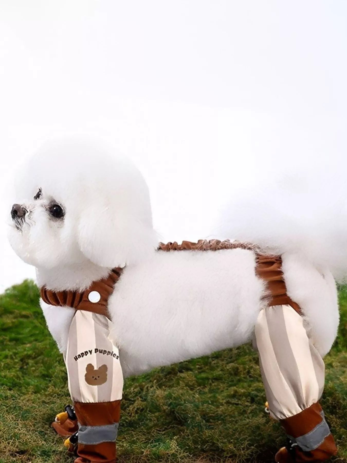 e42bf335-3f19-4f5b-ab47-d8388c977967-Max-Origin