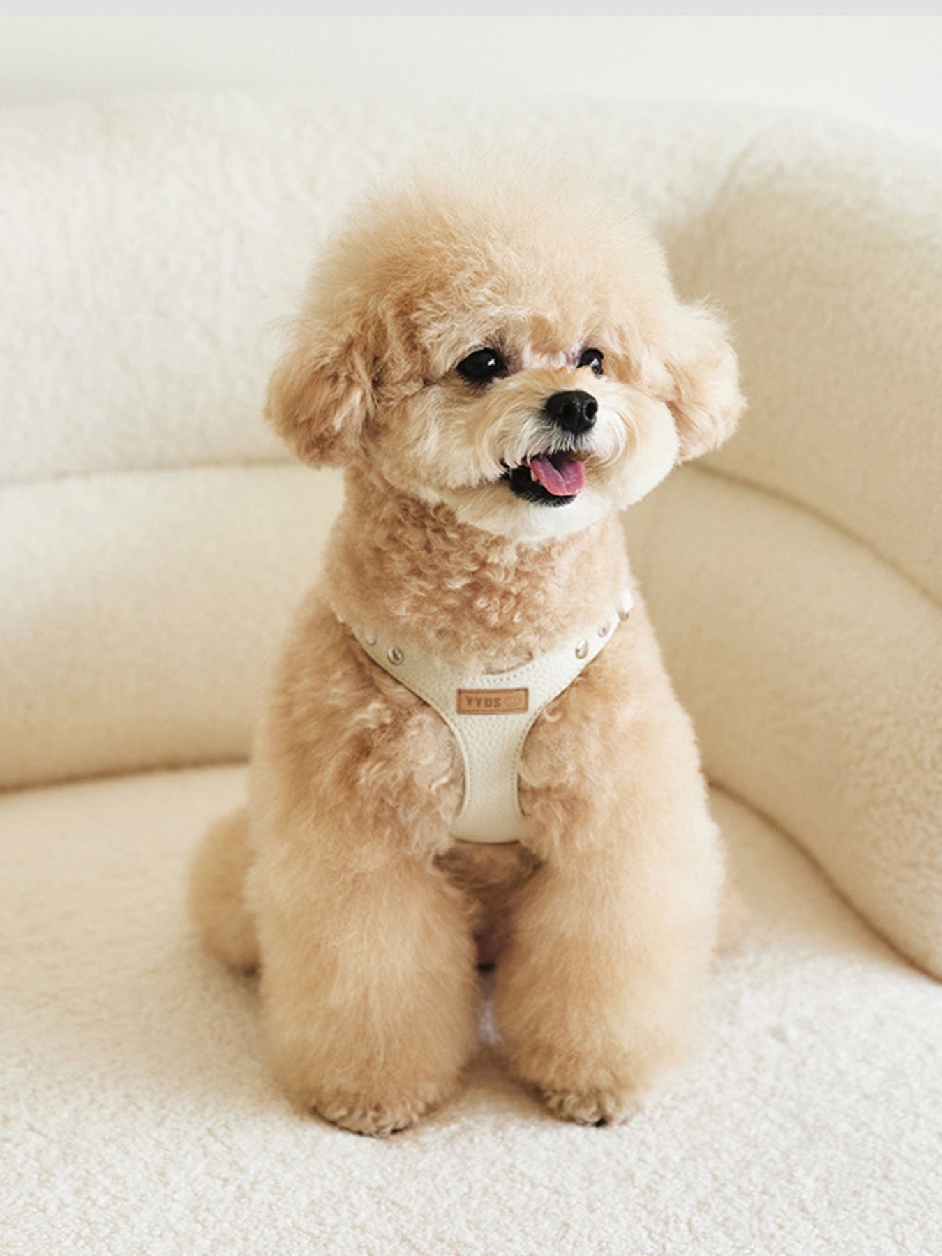 21986bb9a28c4a26b69a1e7bfa5bf379-Max