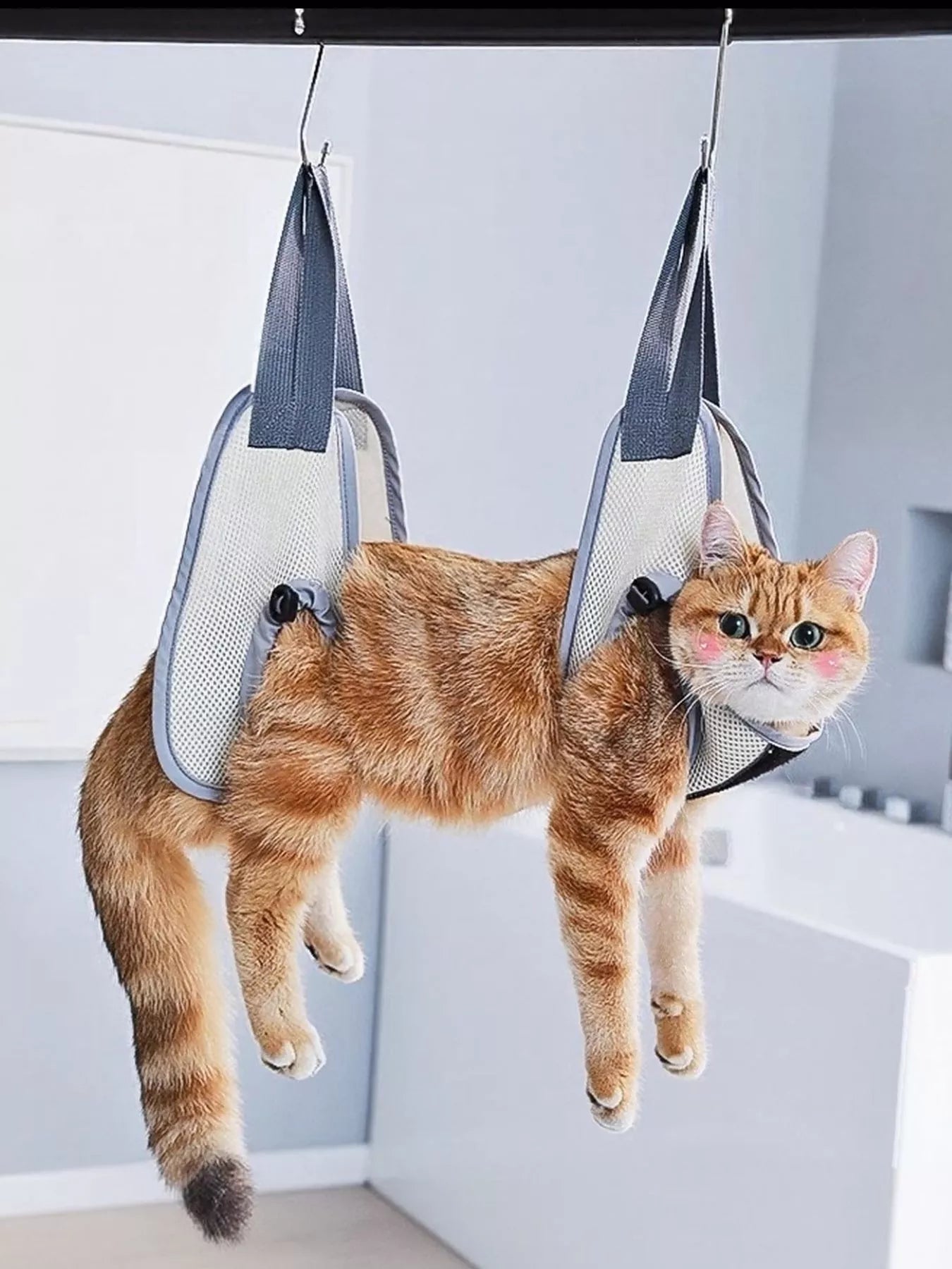 4dcc72f6-65d0-48a2-9ed3-5fd4892eba90-Max-Origin