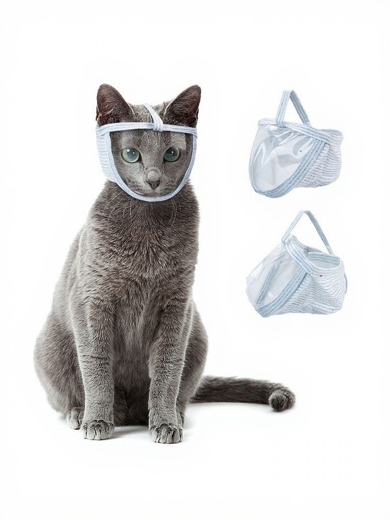 5a73f11a-306e-4af0-8ad9-76afc9163366-Max