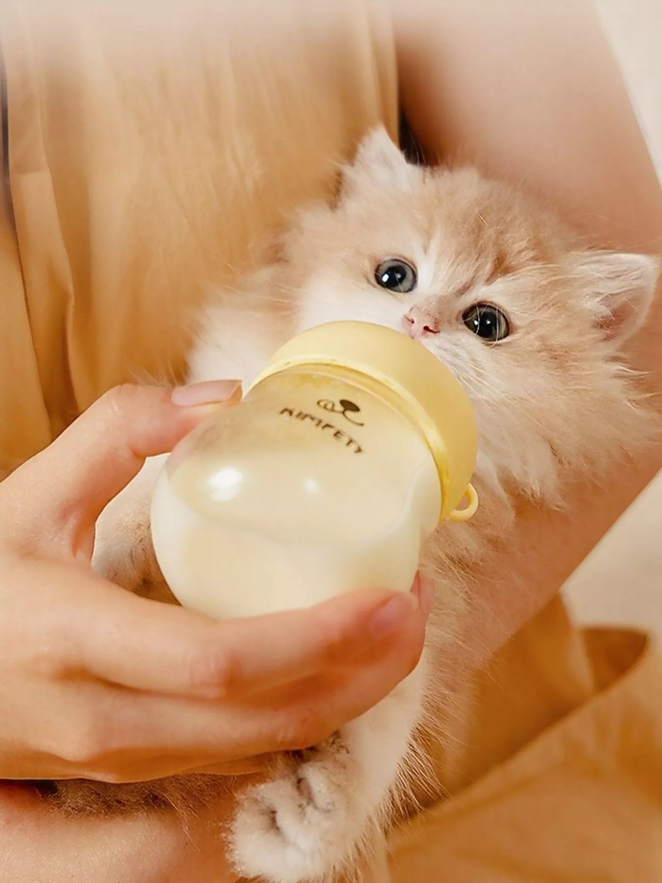 84e724ae-f50c-4d22-82f0-6aa0d81268d5-Max-Origin