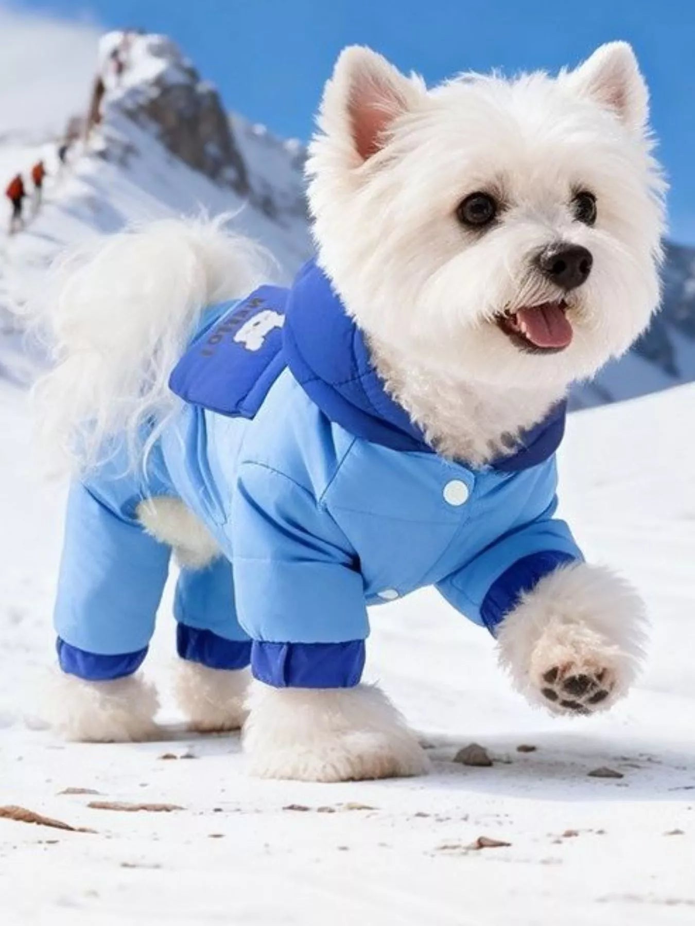 a102d92d-68ce-4e3f-a837-74b84c481fc3-Max-Origin