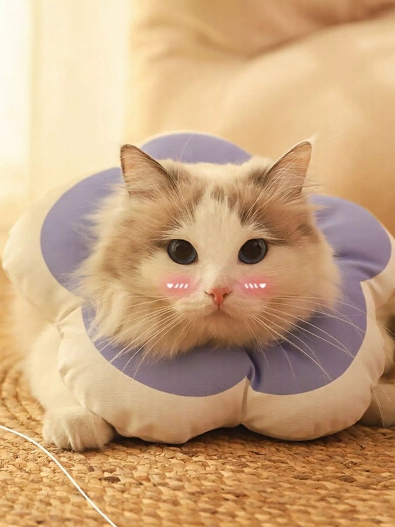 ac98eb80-9ccf-4ba2-9fc5-06293dcf0916-Max-Origin