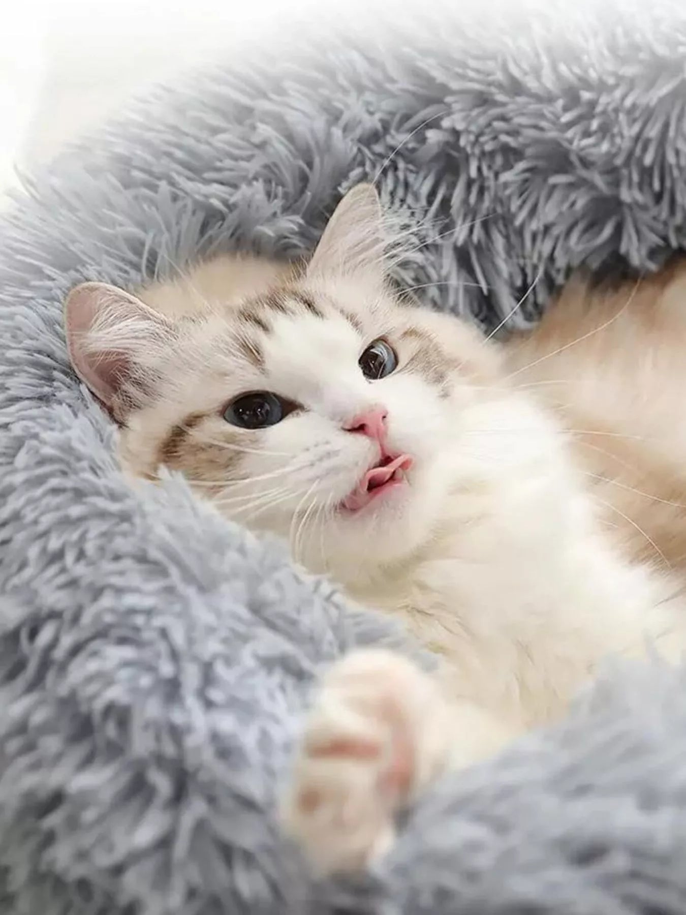 bff15103-6d15-4b9b-9c17-23daa68bb325-Max-Origin