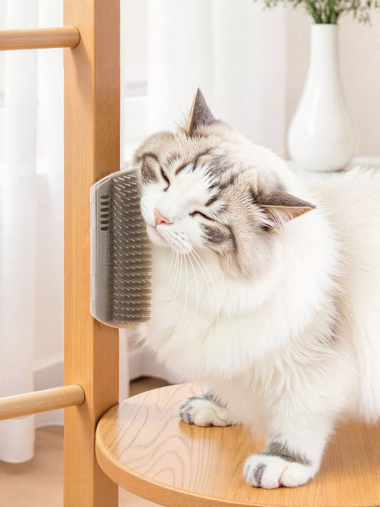 c10d7400-465c-458c-86d8-044412e67050-Max-Origin