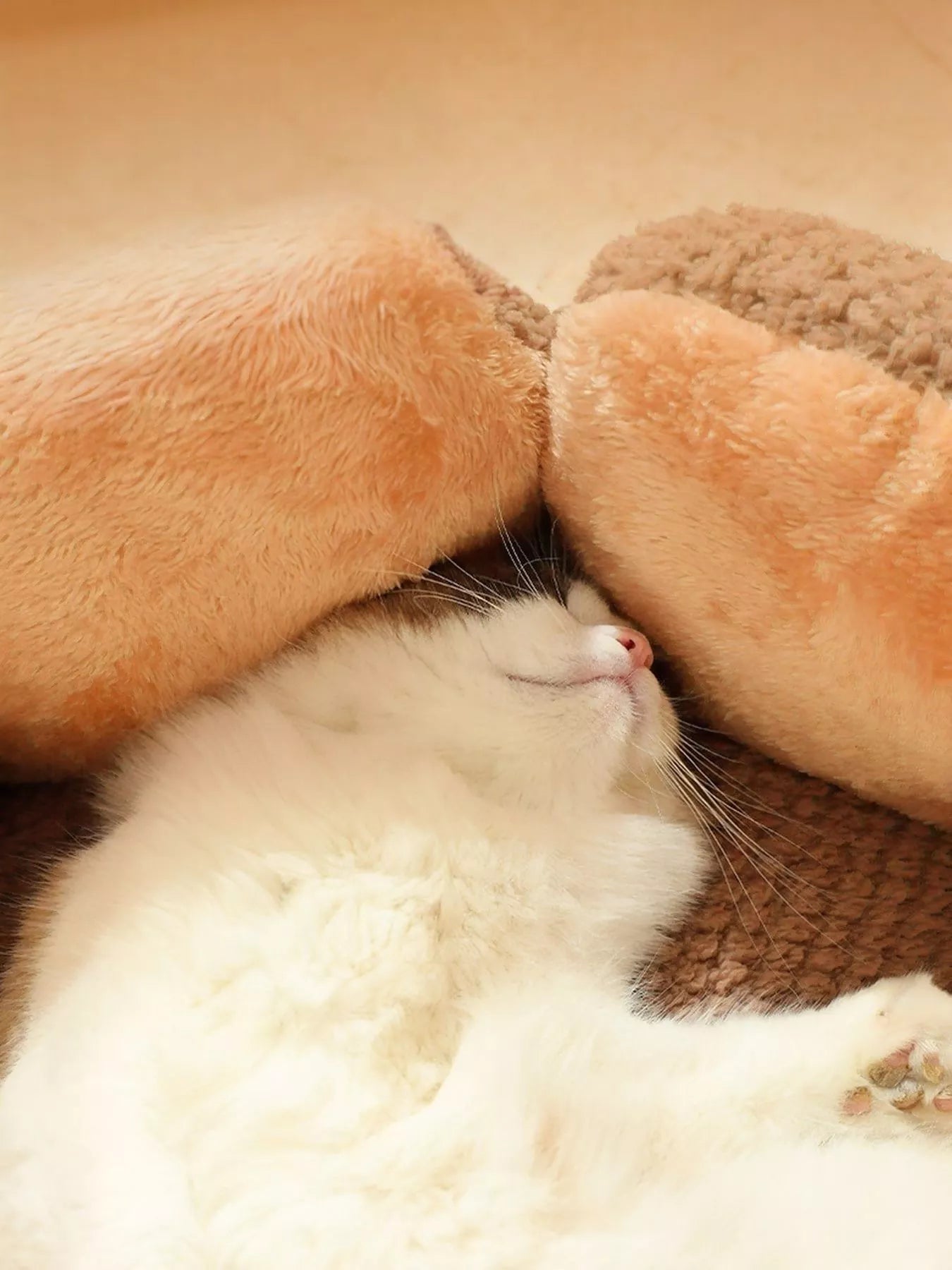 c49fe53a-0a03-466d-aa99-b61e390a8106-Max-Origin