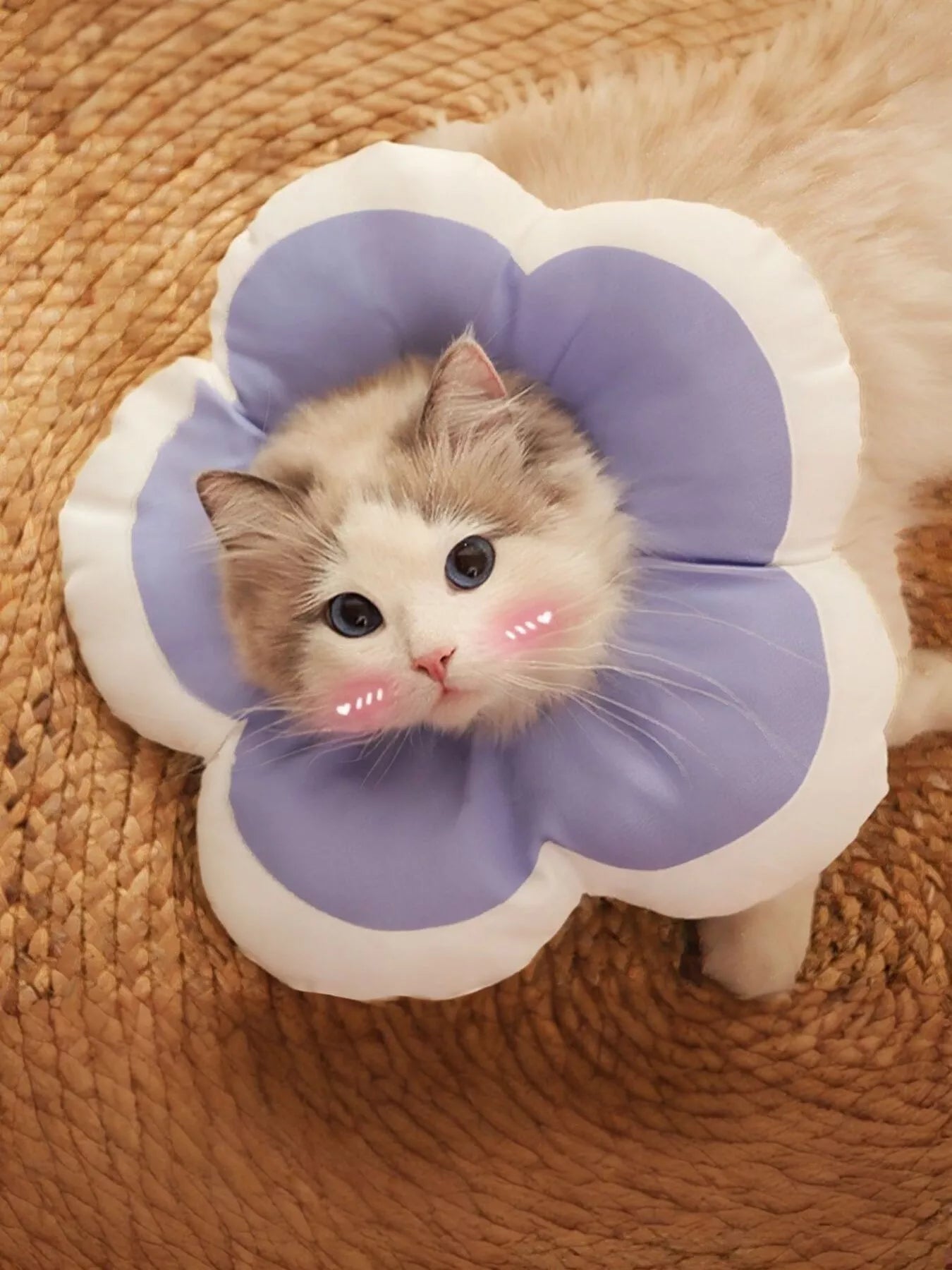 d76e4e01393d4a83a1cfad22f634fe63-Max-Origin