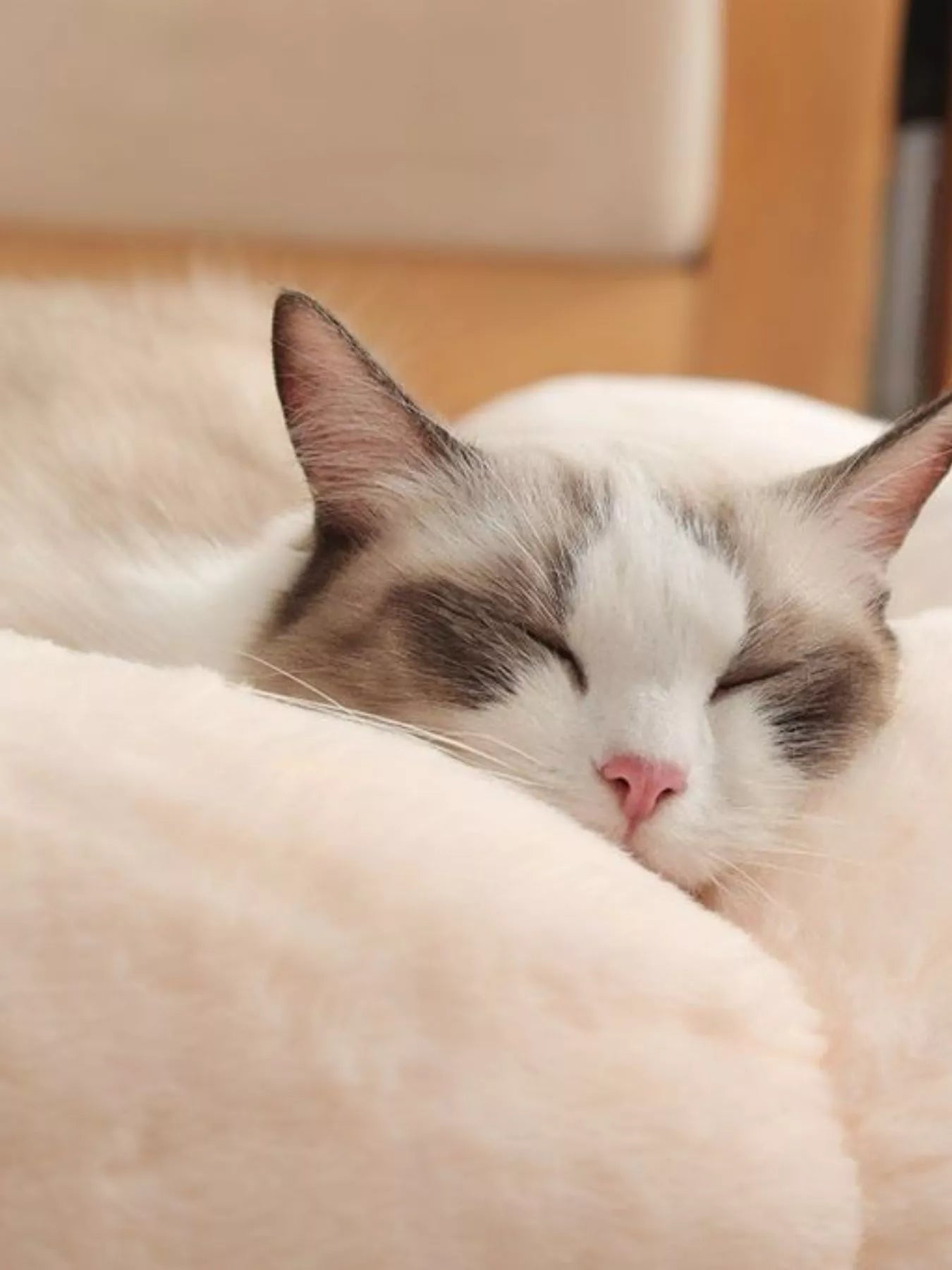 dea86b6b-a657-4b7e-b126-6af800e2316b-Max-Origin