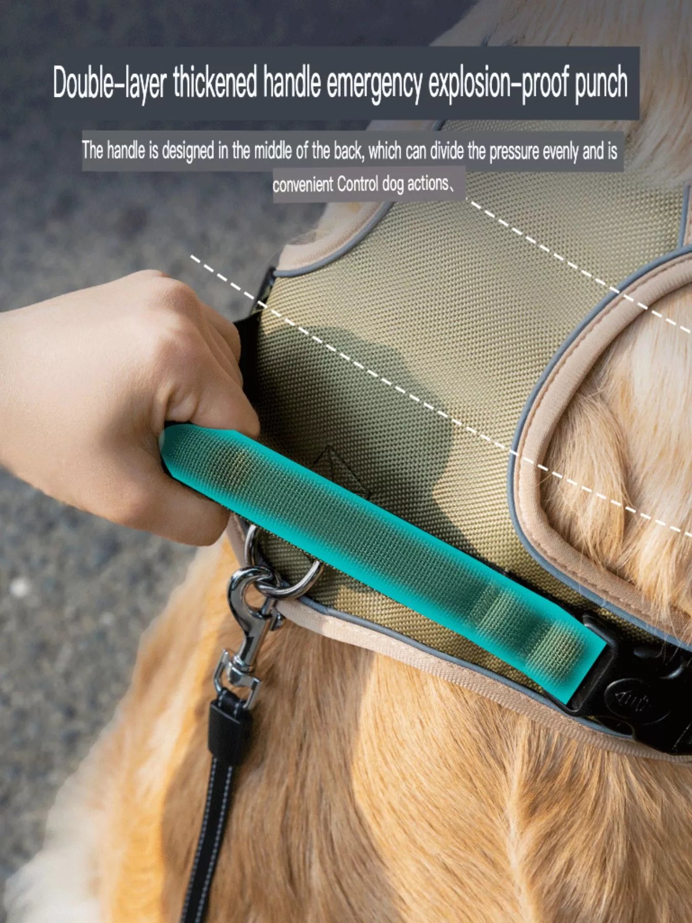 e1e2d84b-5ff7-44ab-804d-edee214886e1-Max-Origin