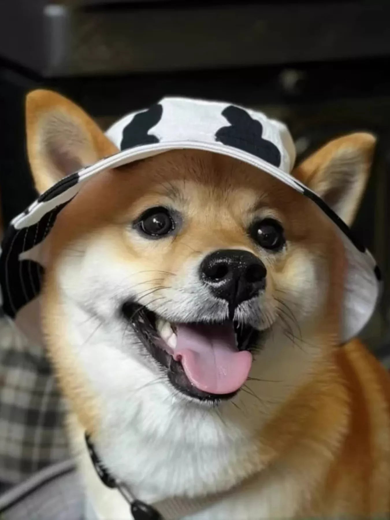 e337897545cc43bc88d2209c6ea154c3-Max-Origin