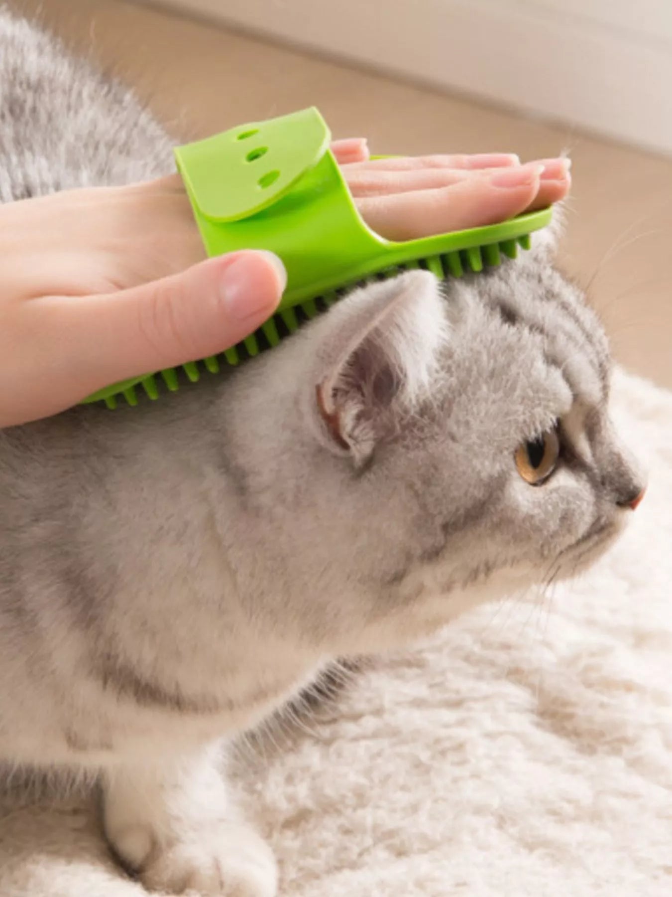 e3d28fa6-ed3b-4894-89d7-10167f520ef0-Max-Origin