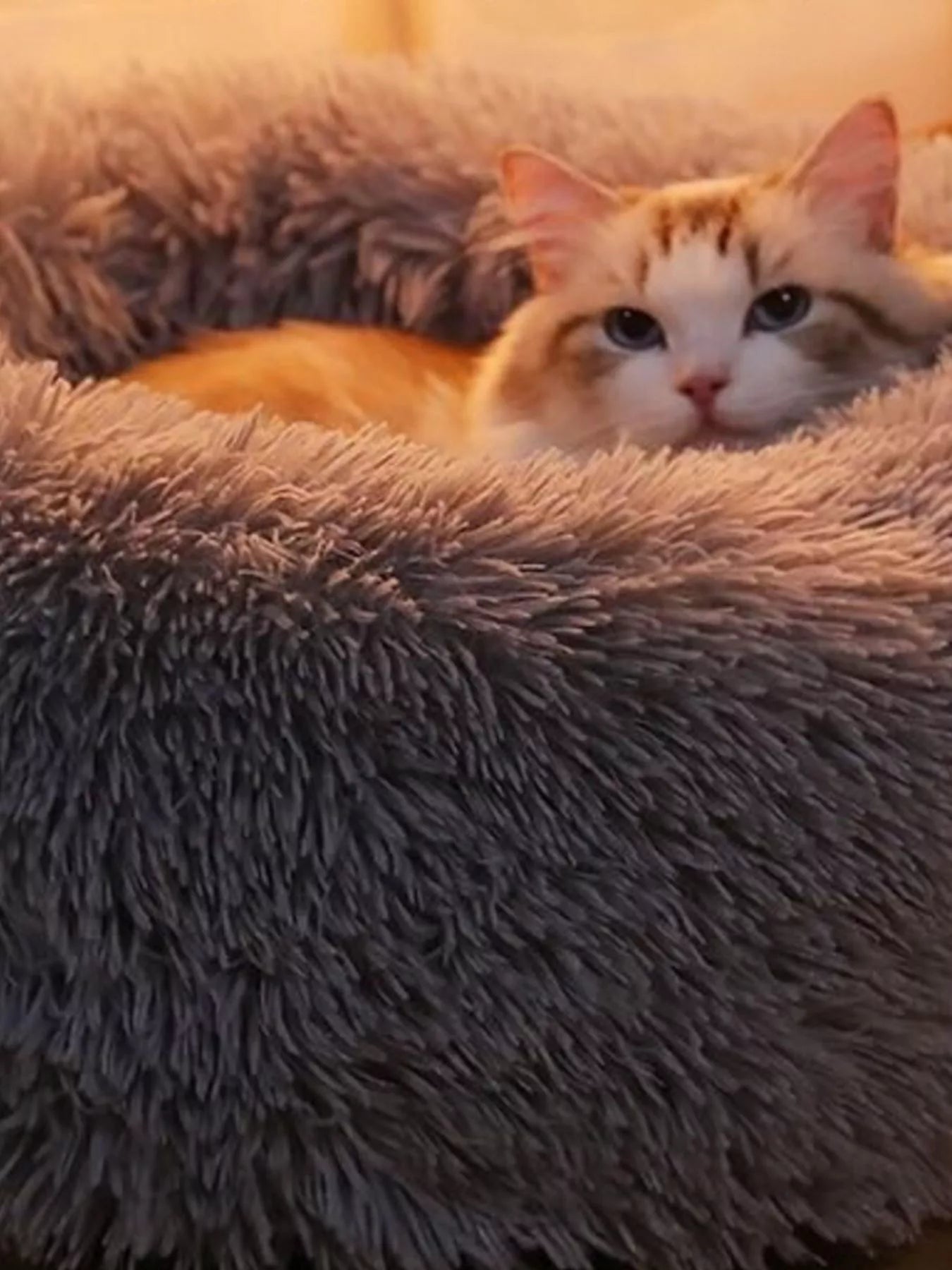 fd86068f-c42d-41bc-a70e-26abb64488c3-Max-Origin